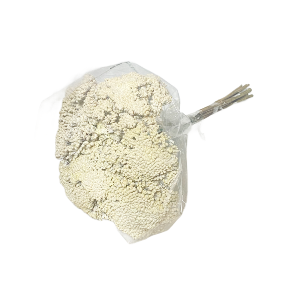 Achillea alb 50g.