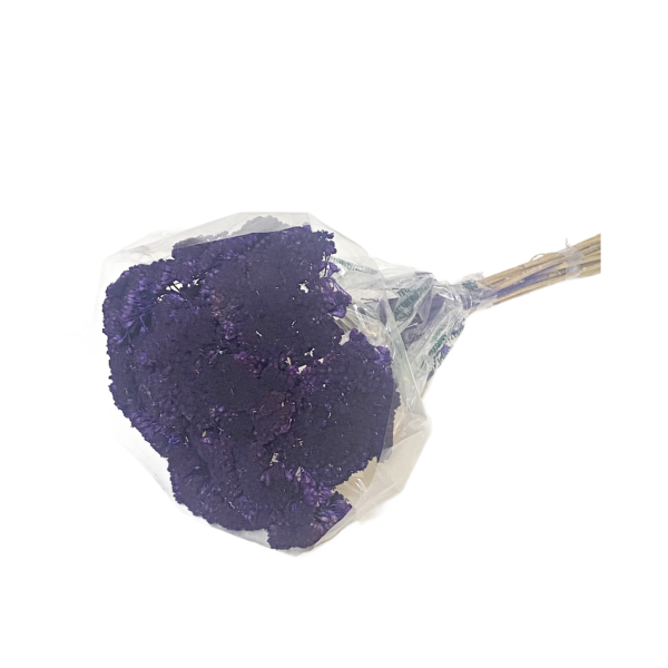 Achillea mov inchis 50g.