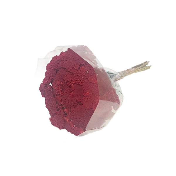 Achillea rosu inchis 50g.