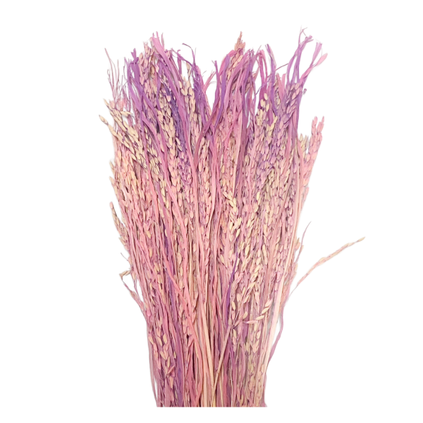 Planta orez mov 100g.