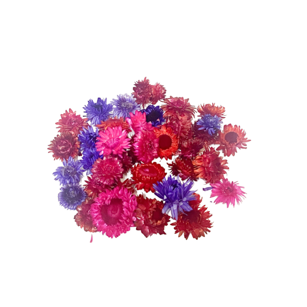 Flori de paie mix rosu-mov-ciclamen 100g.