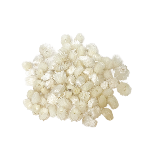 Flori capblume albe 100g.