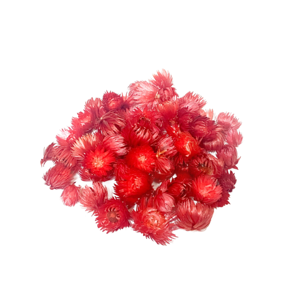 Flori capblume rosii 100g.
