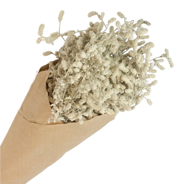 Bumbac de desert 150g. Alb