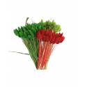 Talaris 50g. verde inchis 