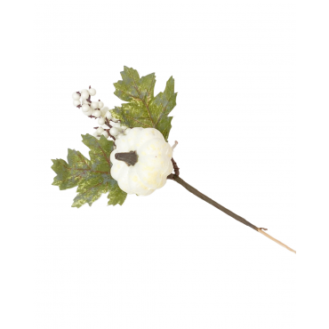 Crenguta cu dovlecel...