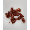 Conuri de mesteacan sidefate mici 120g.