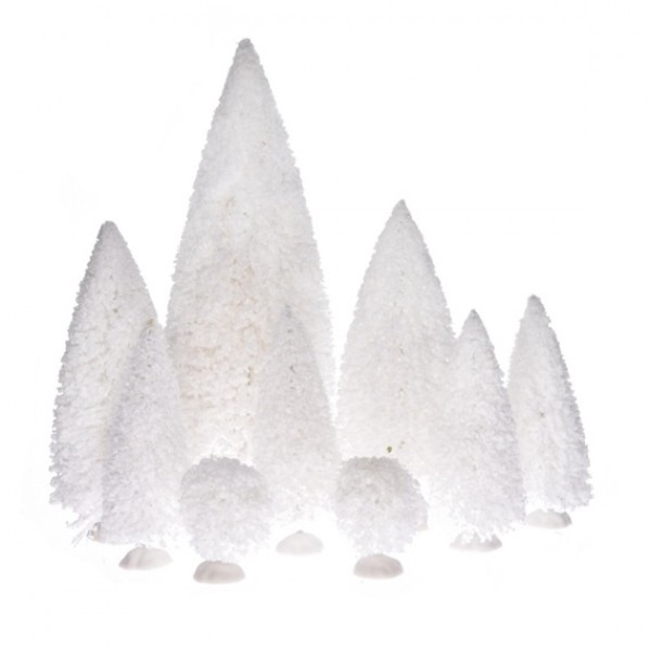 Brăduți albi la set de noua bucăți