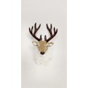 Trofeu de  cerb 20/12cm
