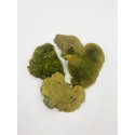 Ciuperci uscați bureți 150g.