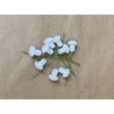 Ciupercute de polistiren alb sidef 2cm, 3cm, 4cm
